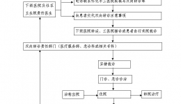 轉(zhuǎn)診流程圖