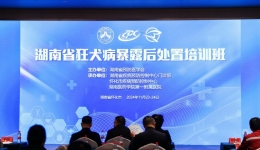 助力懷化門診規(guī)范化、優(yōu)質(zhì)化建設(shè) --湖南省狂犬病暴露后處置培訓(xùn)班圓滿召開