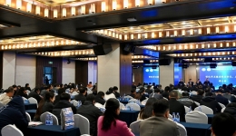 2024懷化市醫(yī)學(xué)會醫(yī)學(xué)信息學(xué)專業(yè)委員會、醫(yī)防融合專業(yè)委員會聯(lián)合學(xué)術(shù)會議舉行